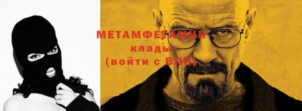 прущие грибы Новозыбков