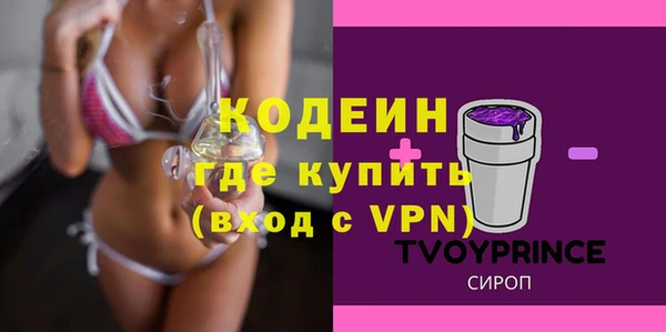 прущие грибы Новозыбков