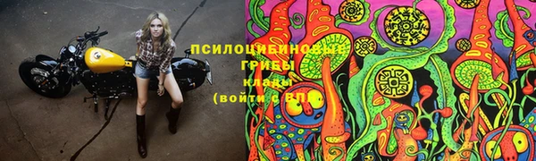 хмурый Новокубанск