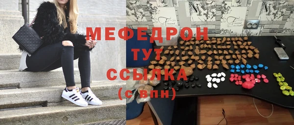 прущие грибы Новозыбков