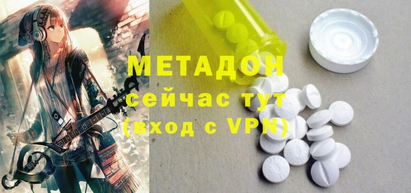 прущие грибы Новозыбков