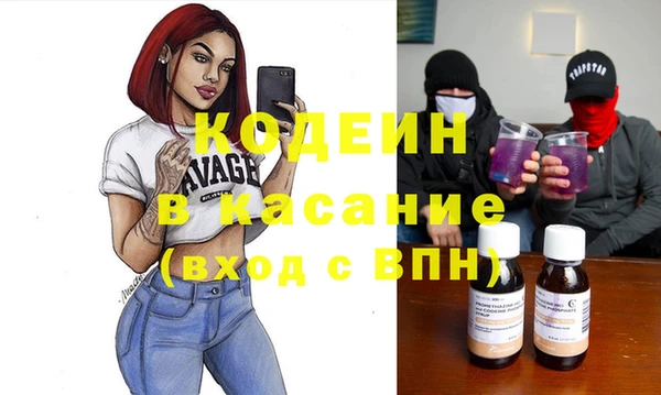прущие грибы Новозыбков
