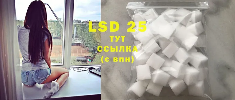 дарнет шоп  Кудымкар  LSD-25 экстази ecstasy 